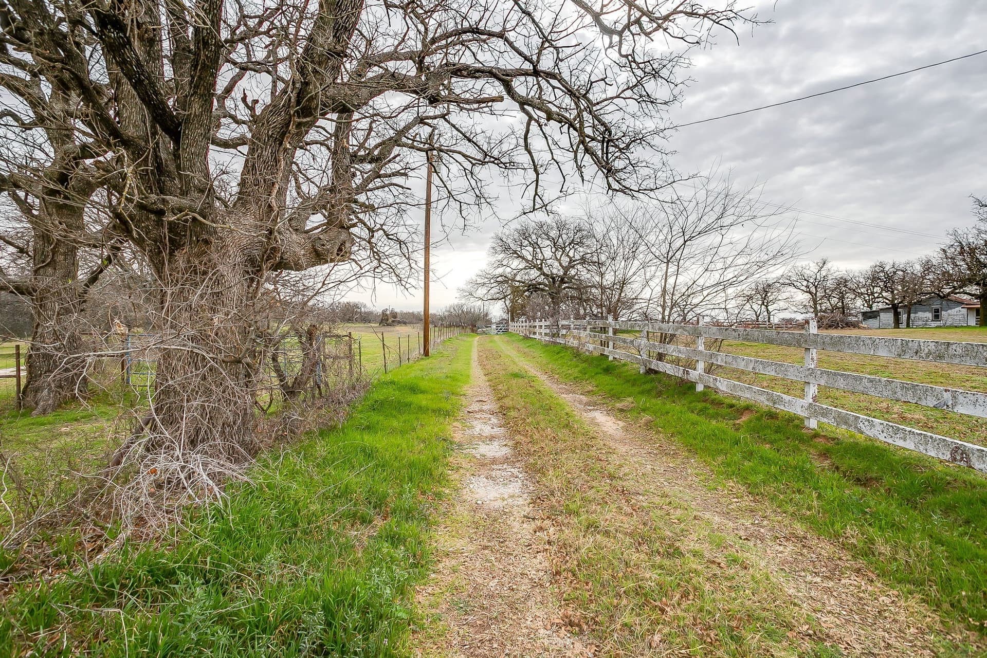 21.16 acres in Parker County - photo 5
