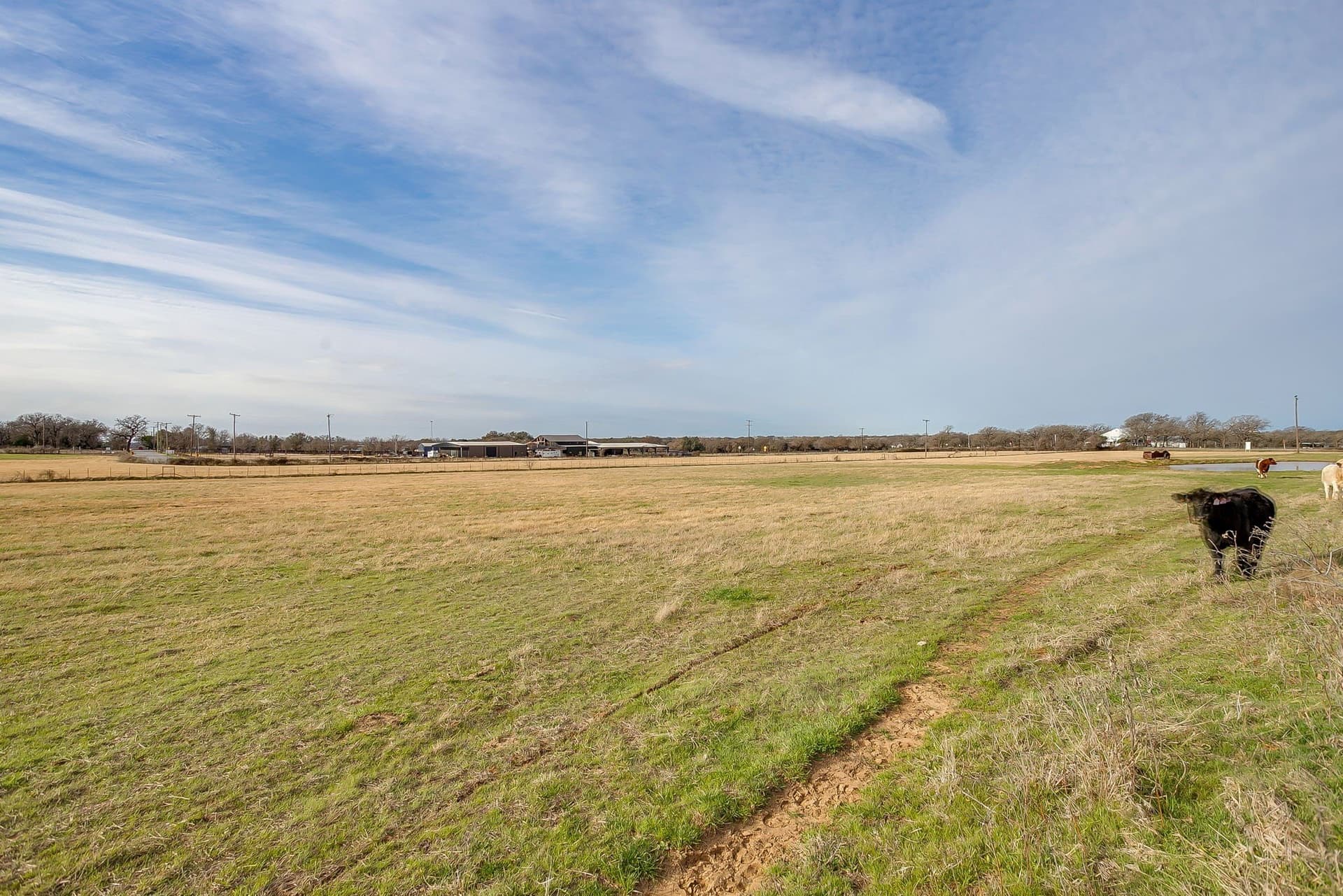 21.16 acres in Parker County - photo 10