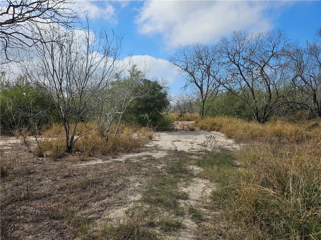 10.47 acres in San Patricio County - photo 19
