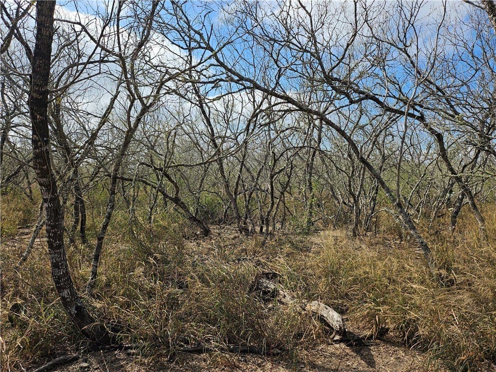 10.47 acres in San Patricio County - photo 7