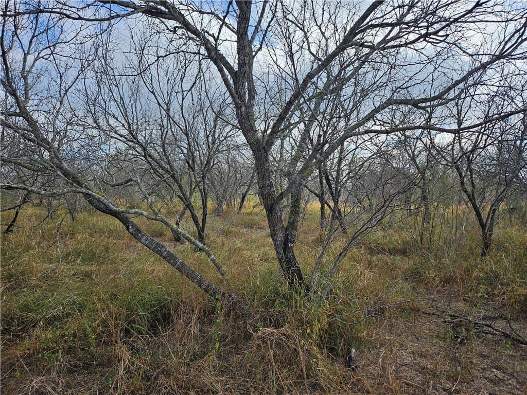 10.47 acres in San Patricio County - photo 17