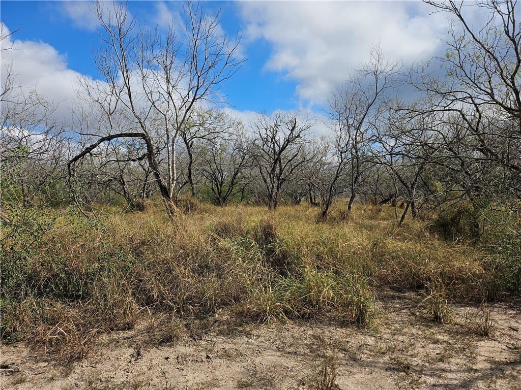 10.47 acres in San Patricio County gallery image 4