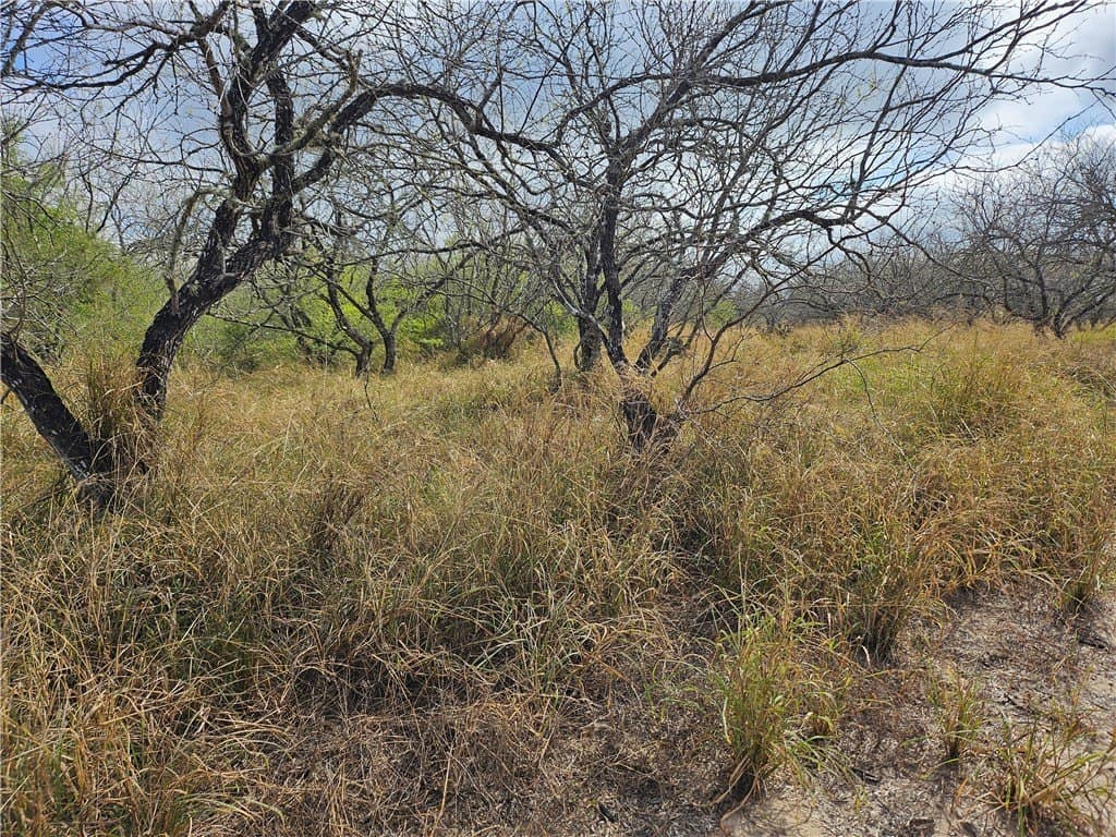 10.47 acres in San Patricio County