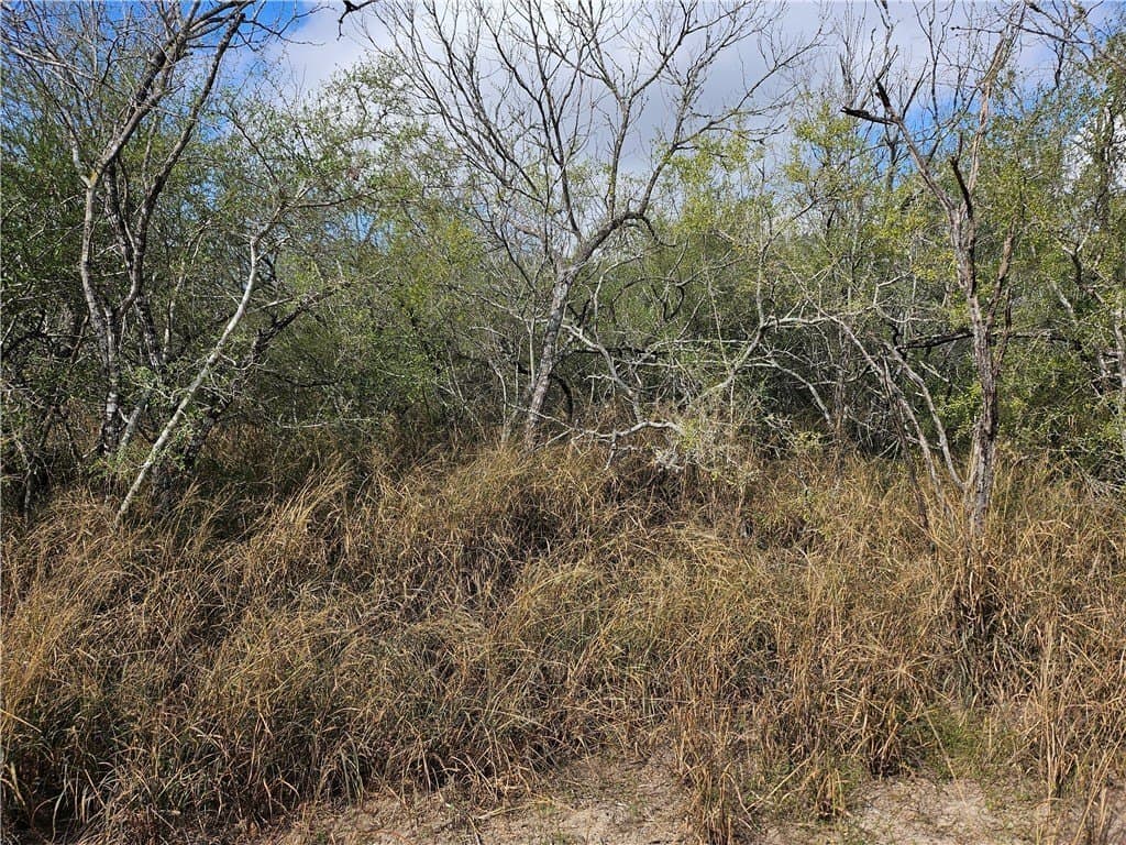10.47 acres in San Patricio County - photo 18