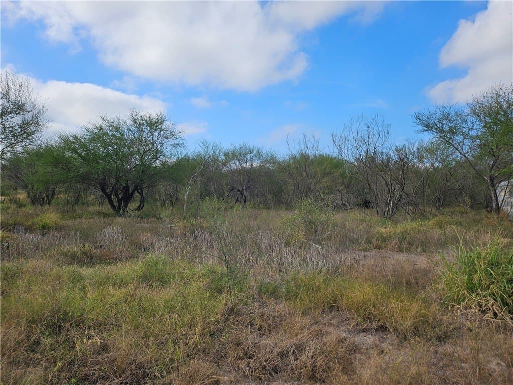 10.47 acres in San Patricio County - photo 15