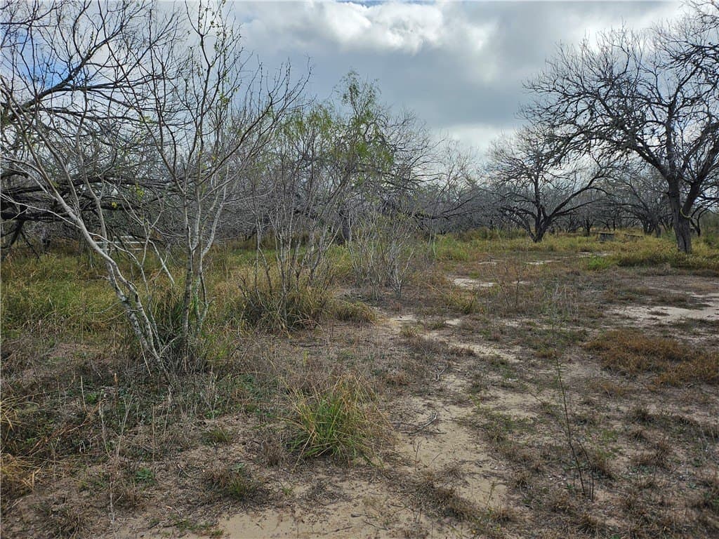 10.47 acres in San Patricio County - photo 14