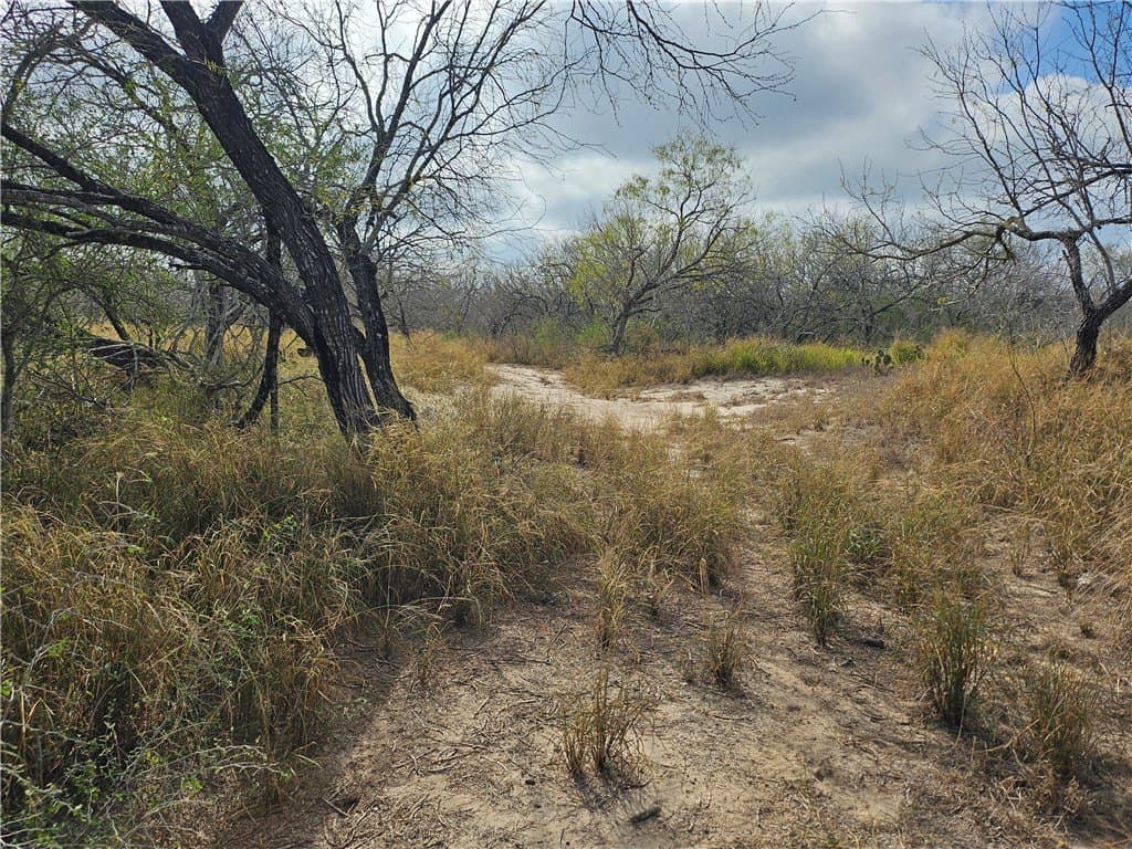 10.47 acres in San Patricio County - photo 12