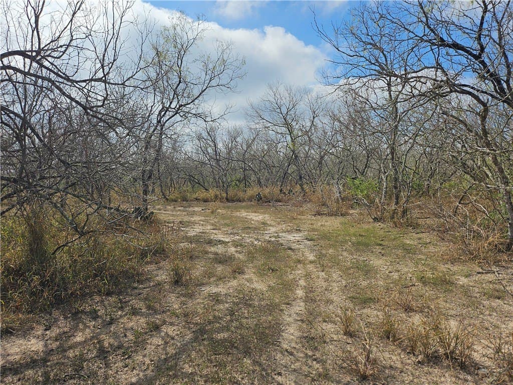 10.47 acres in San Patricio County - photo 8