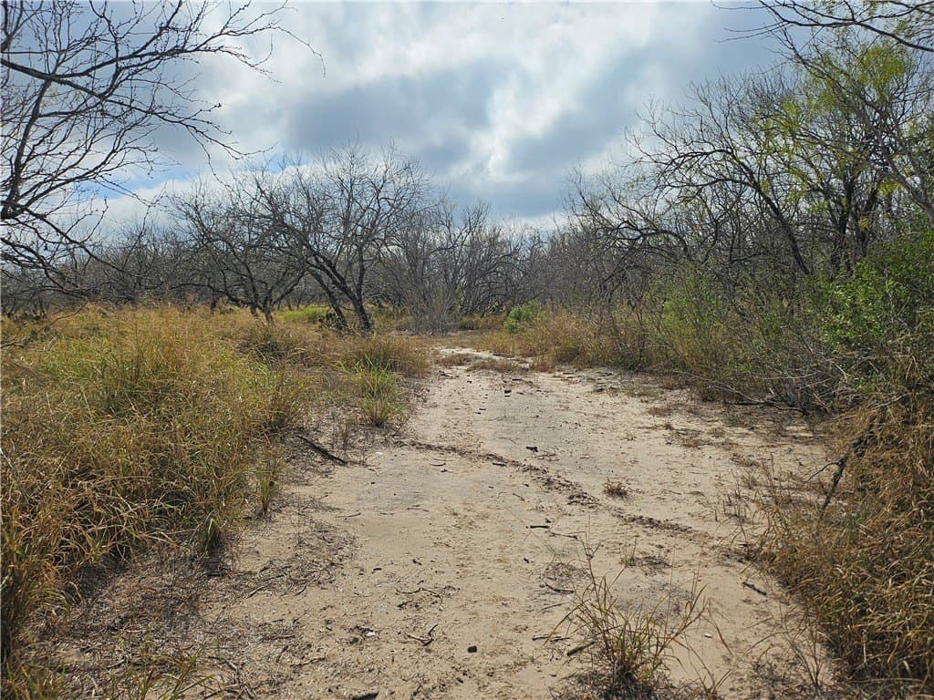 10.47 acres in San Patricio County - photo 6