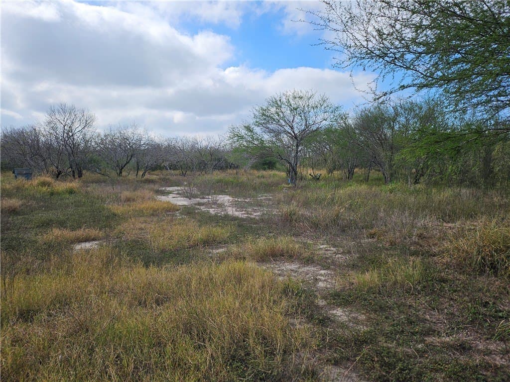 10.47 acres in San Patricio County - photo 16