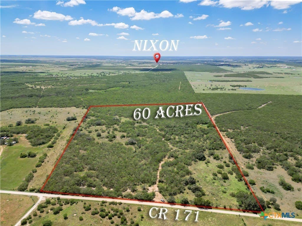 60.01 acres in Gonzales County