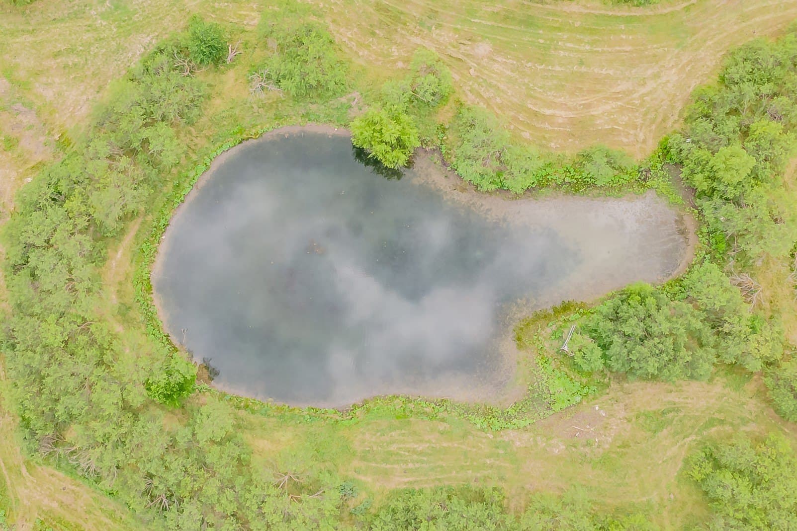 44.05 acres in Johnson County - photo 7