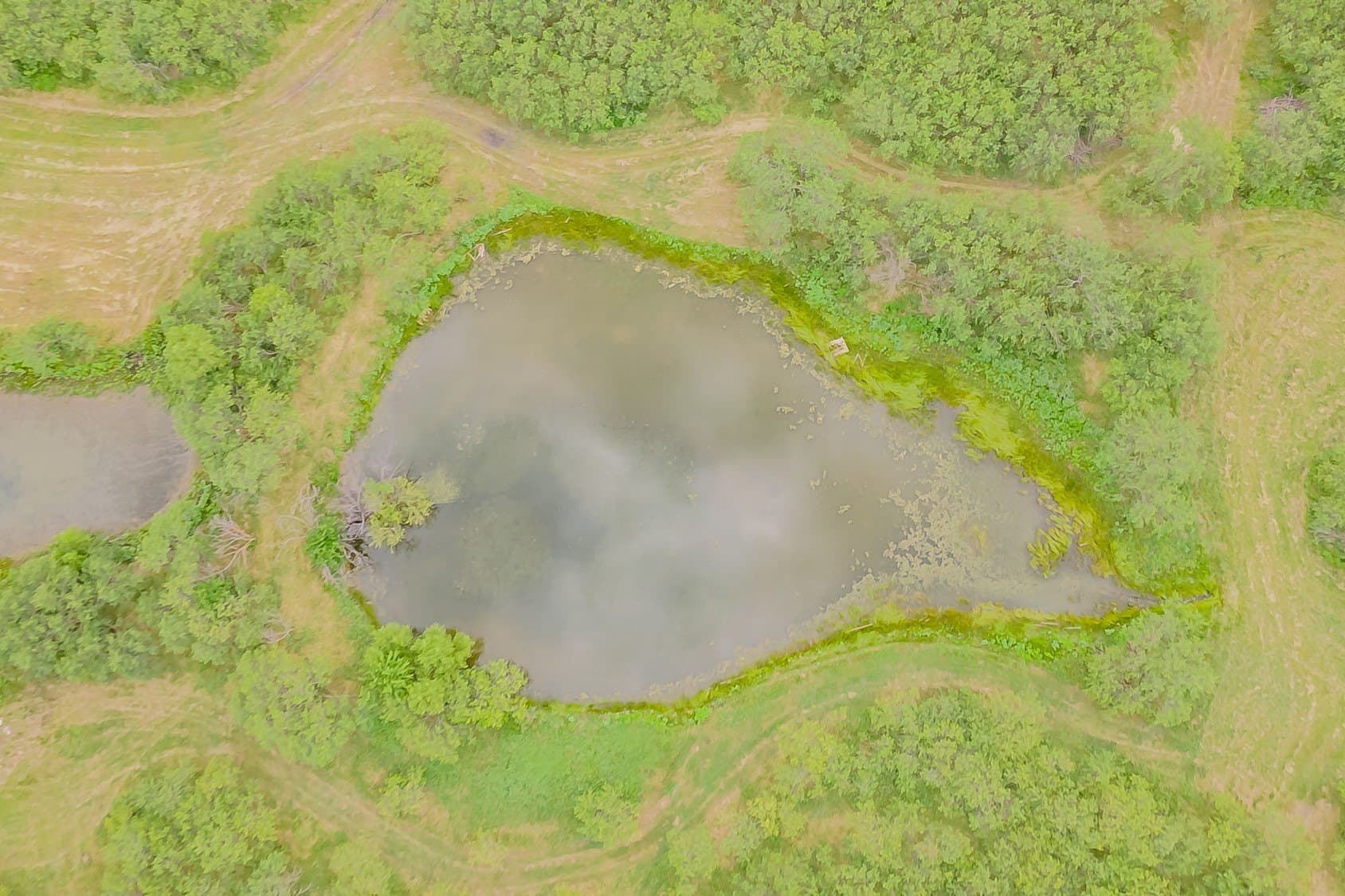 44.05 acres in Johnson County - photo 6