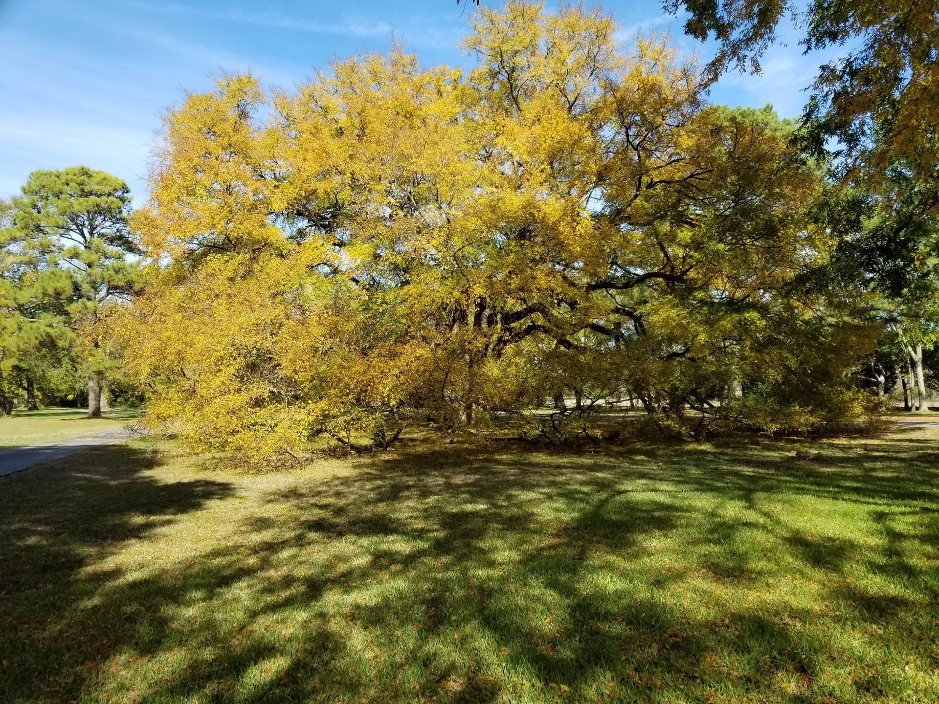 10 acres in Freestone County - photo 30
