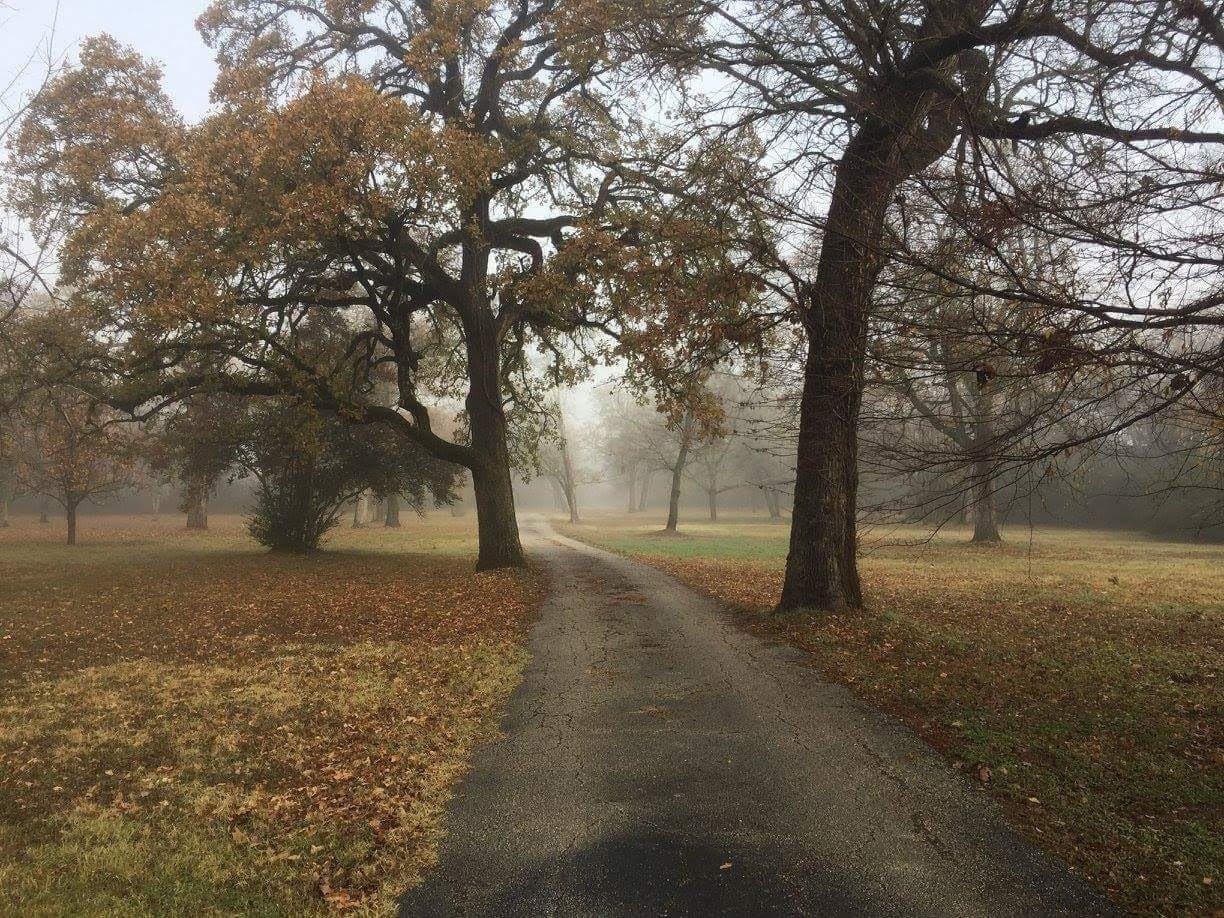 10 acres in Freestone County - photo 31