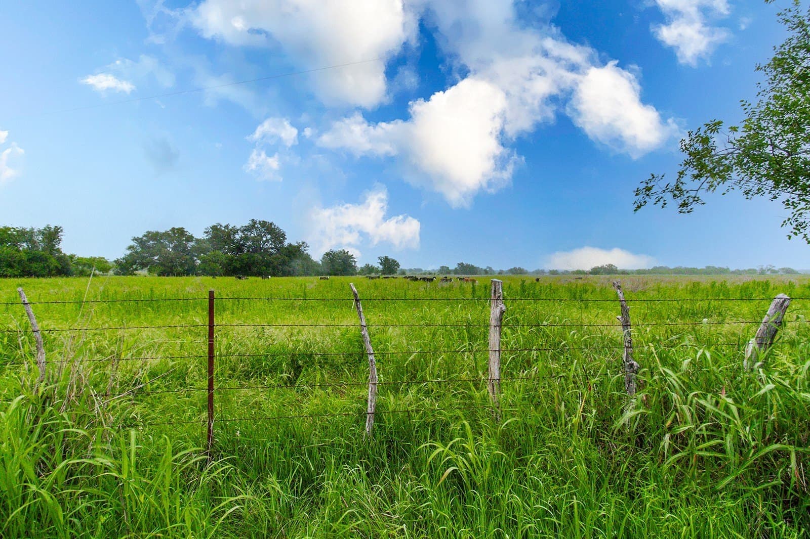 85 acres in Brown County - photo 36