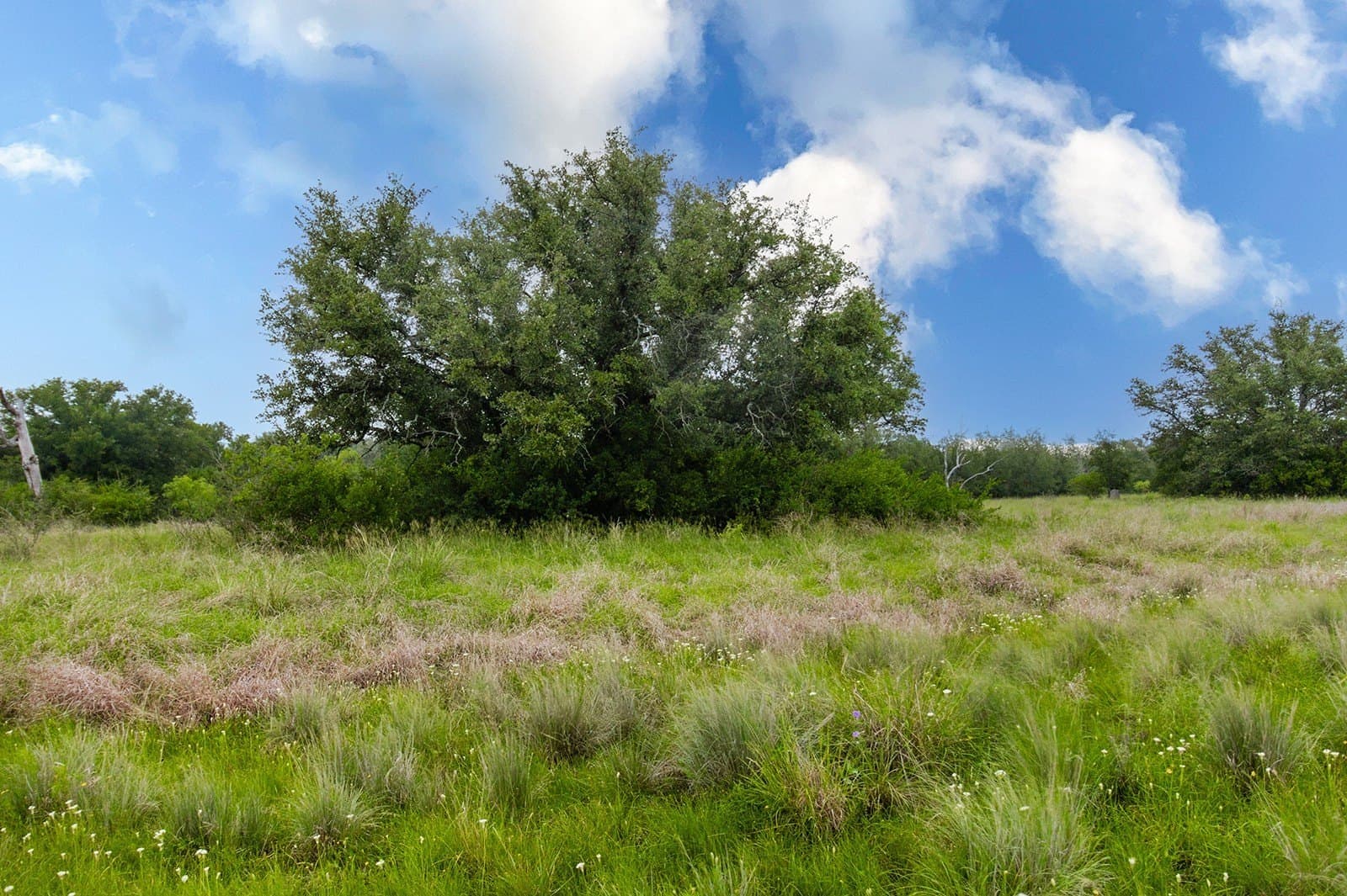 85 acres in Brown County - photo 34