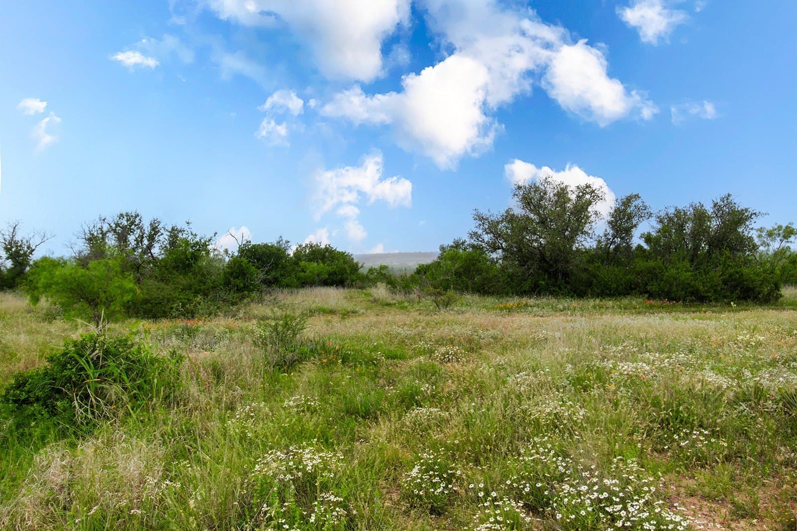 85 acres in Brown County - photo 13