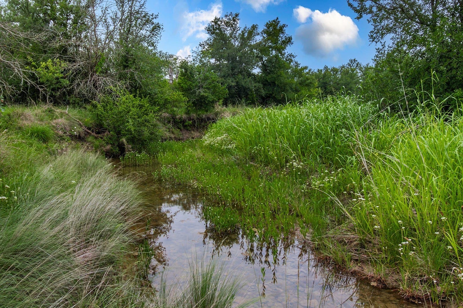 85 acres in Brown County - photo 28