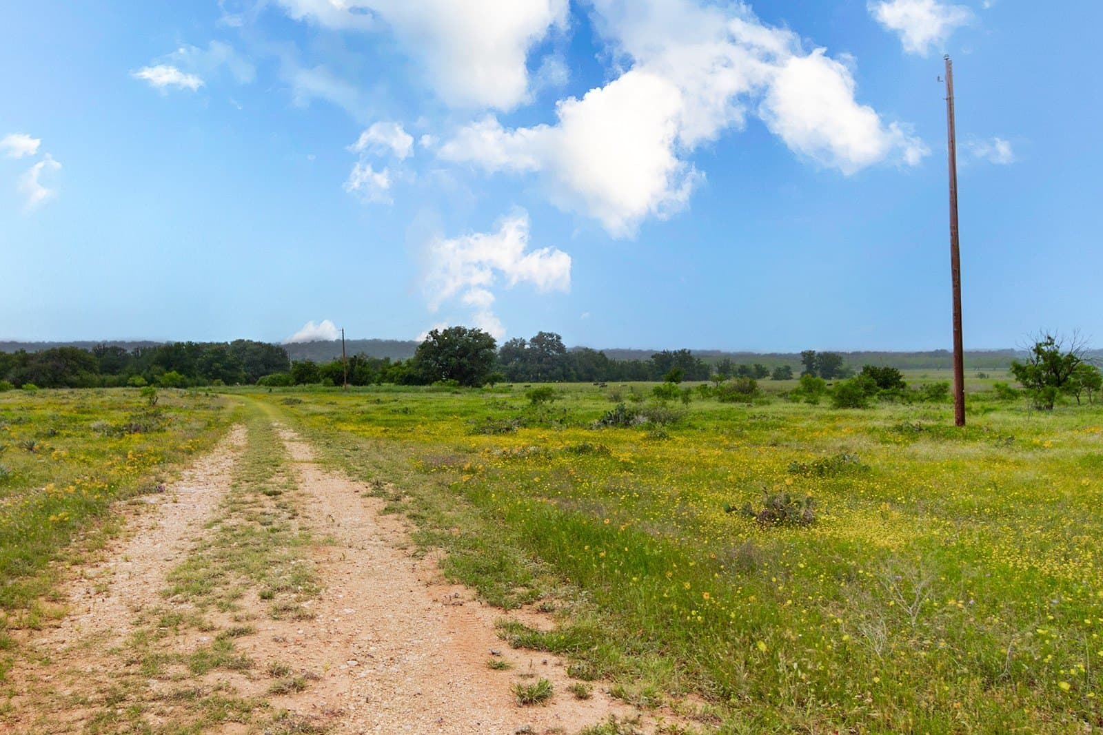 85 acres in Brown County - photo 26