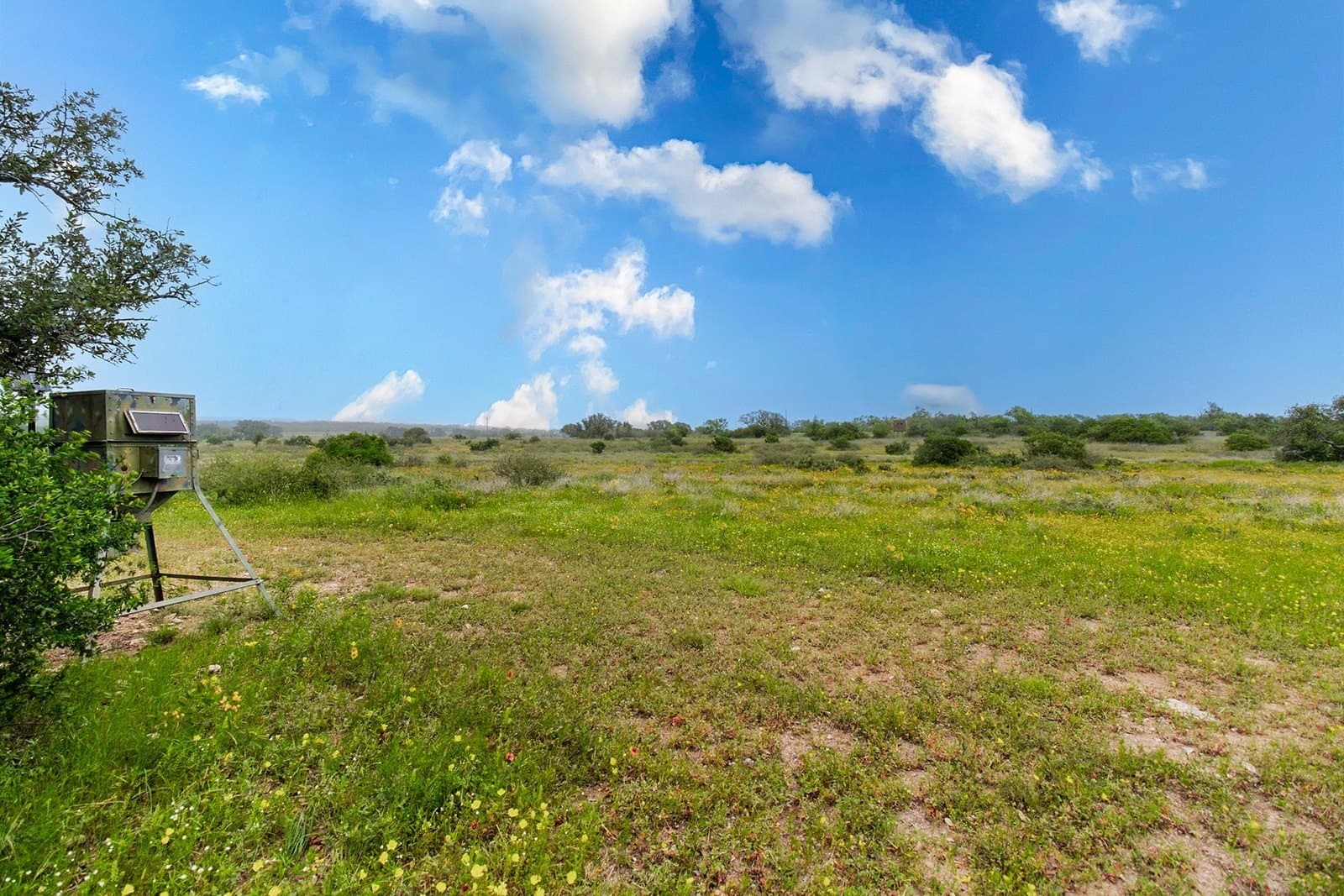 85 acres in Brown County - photo 18