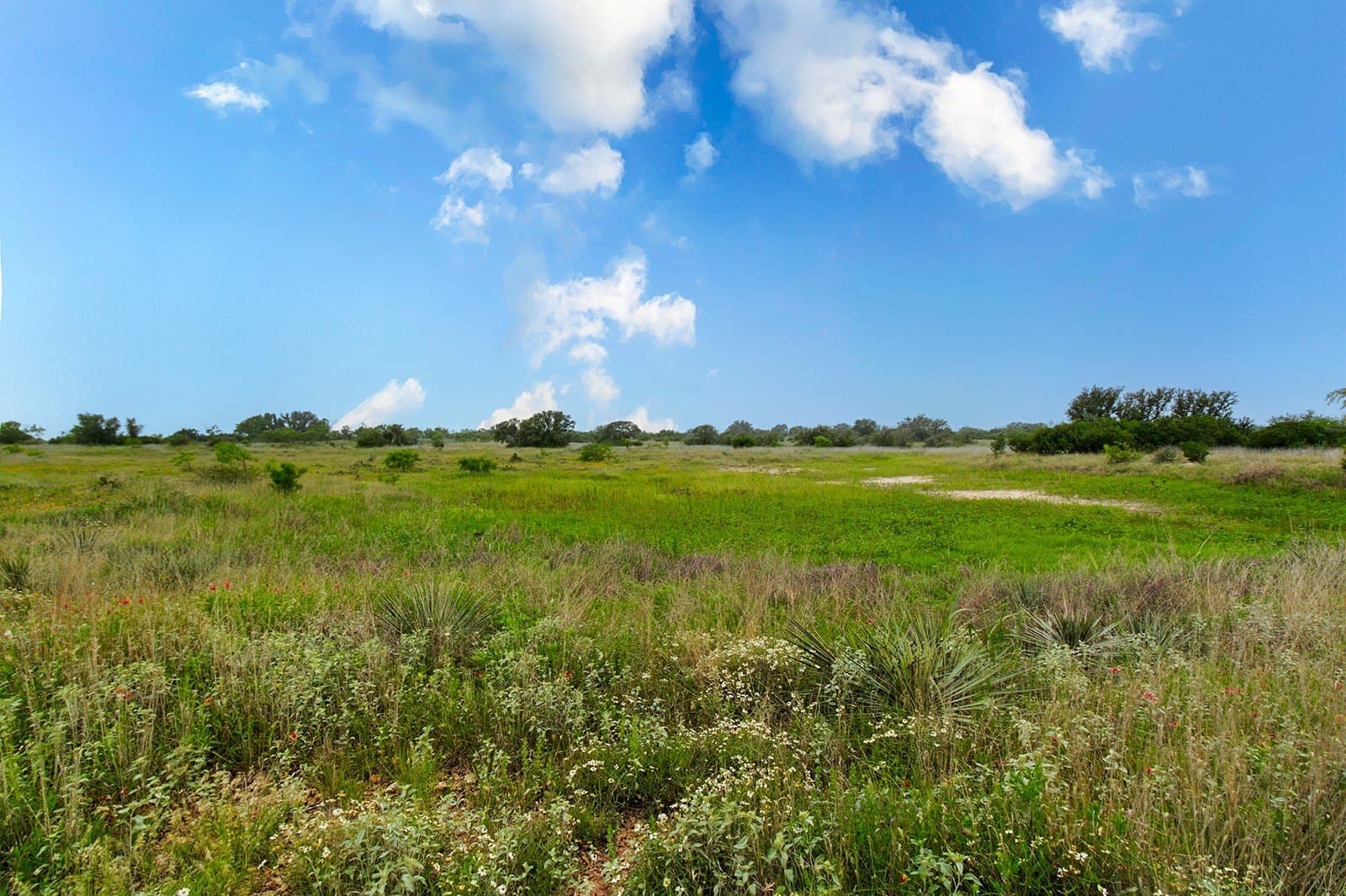 85 acres in Brown County - photo 12