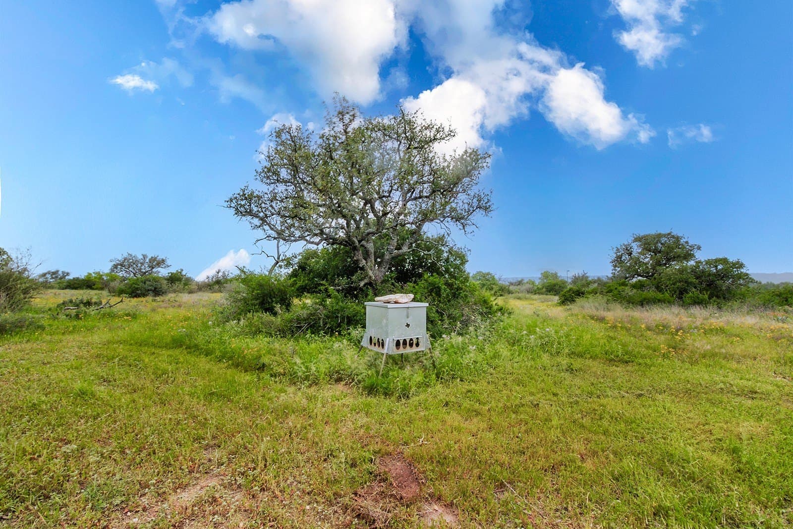 85 acres in Brown County - photo 19