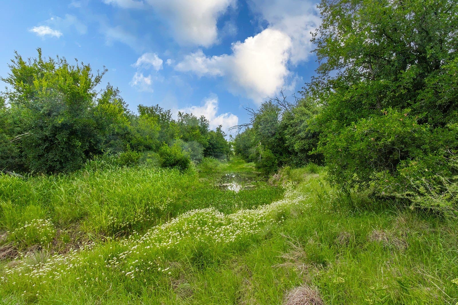 85 acres in Brown County - photo 30