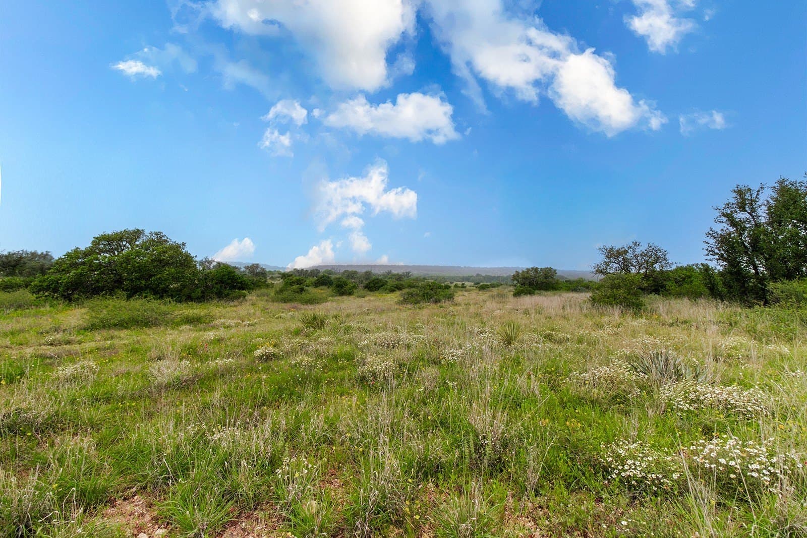 85 acres in Brown County - photo 15