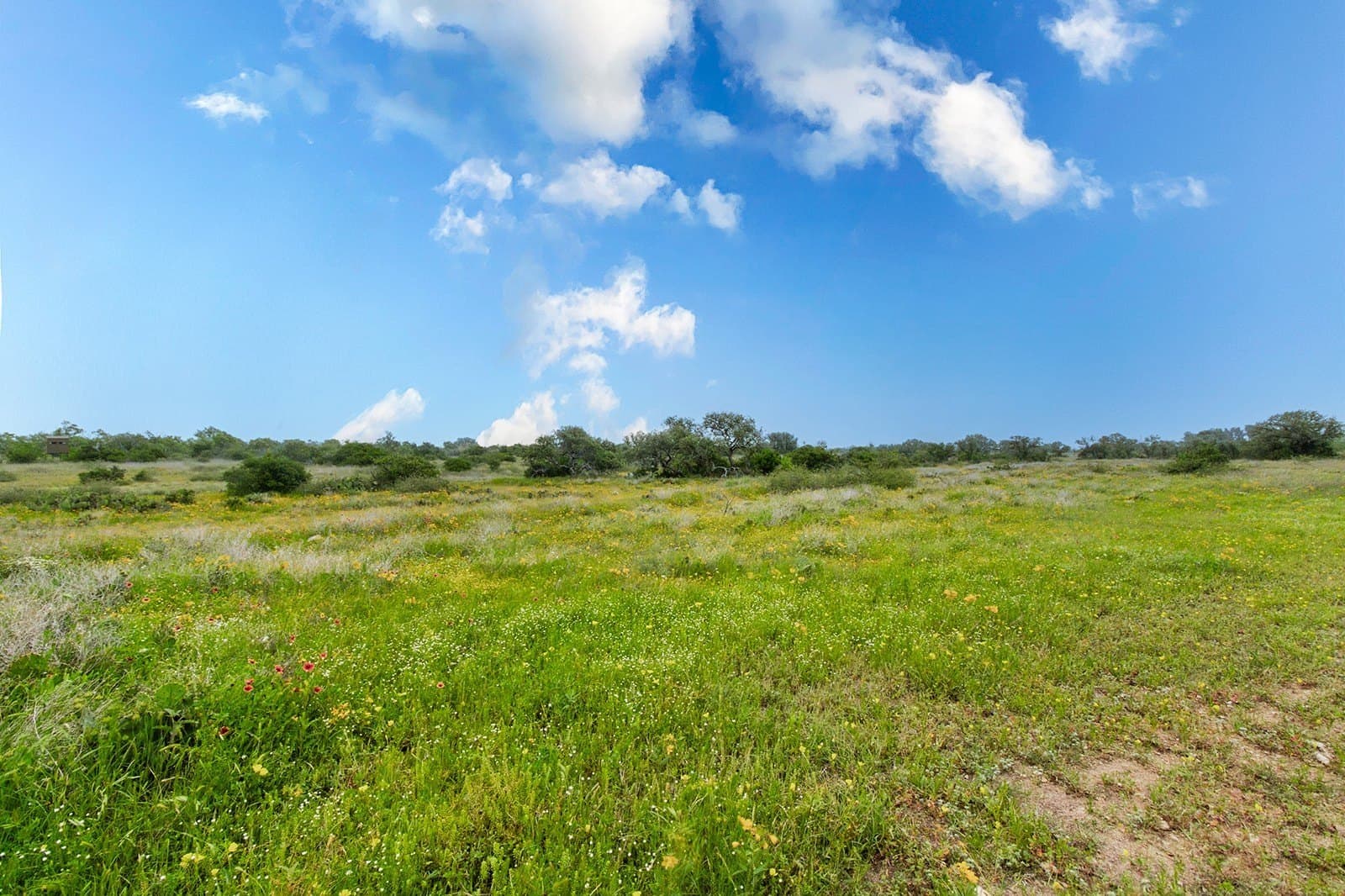 85 acres in Brown County - photo 20