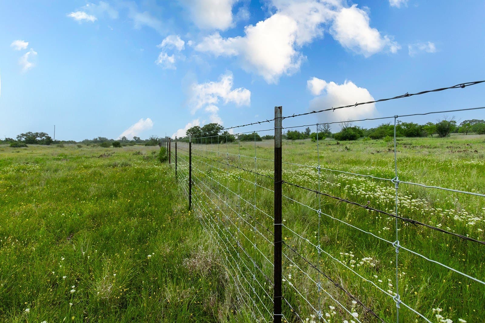 85 acres in Brown County - photo 31