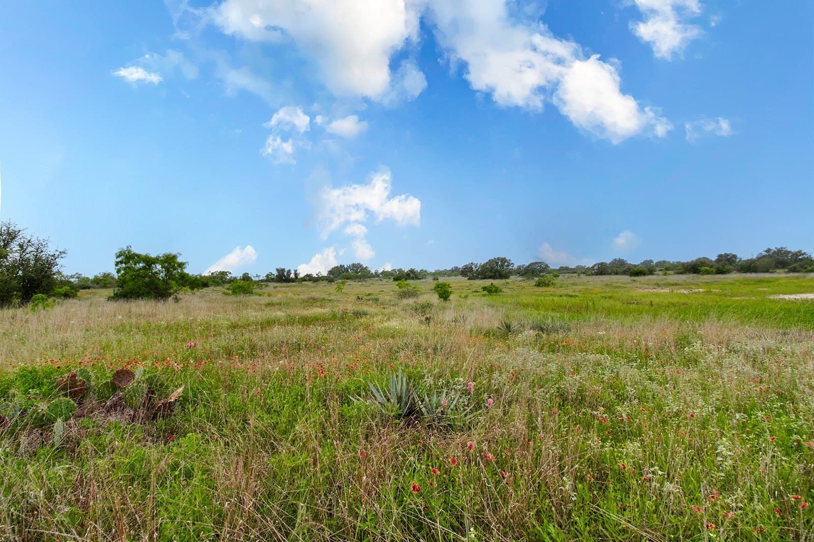 85 acres in Brown County - photo 14
