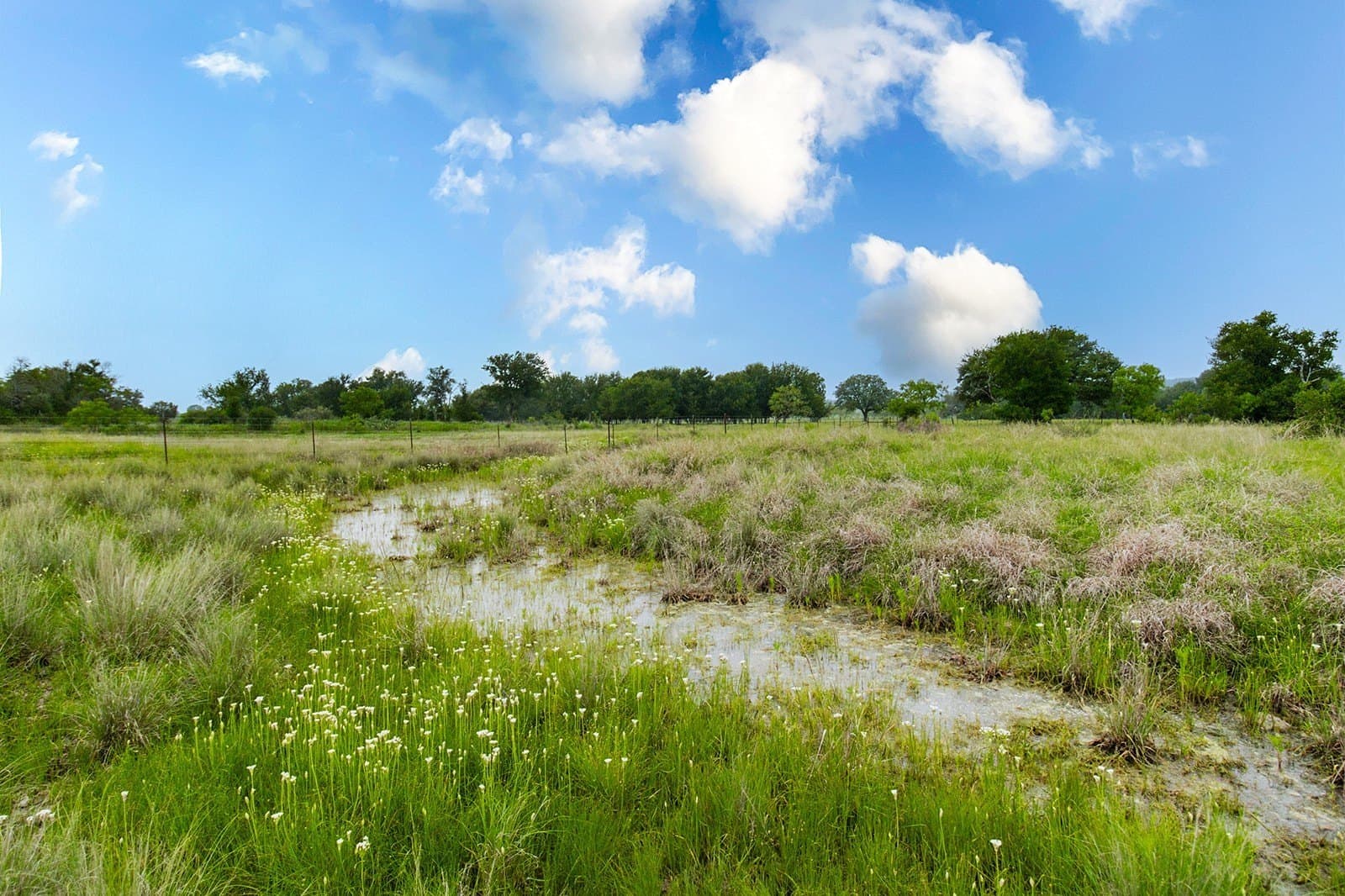 85 acres in Brown County - photo 32