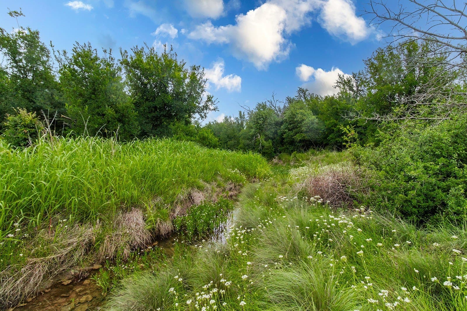 85 acres in Brown County - photo 29