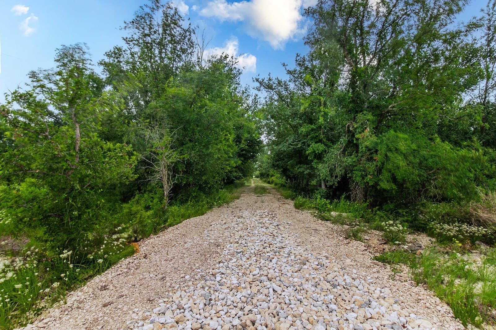 85 acres in Brown County - photo 39