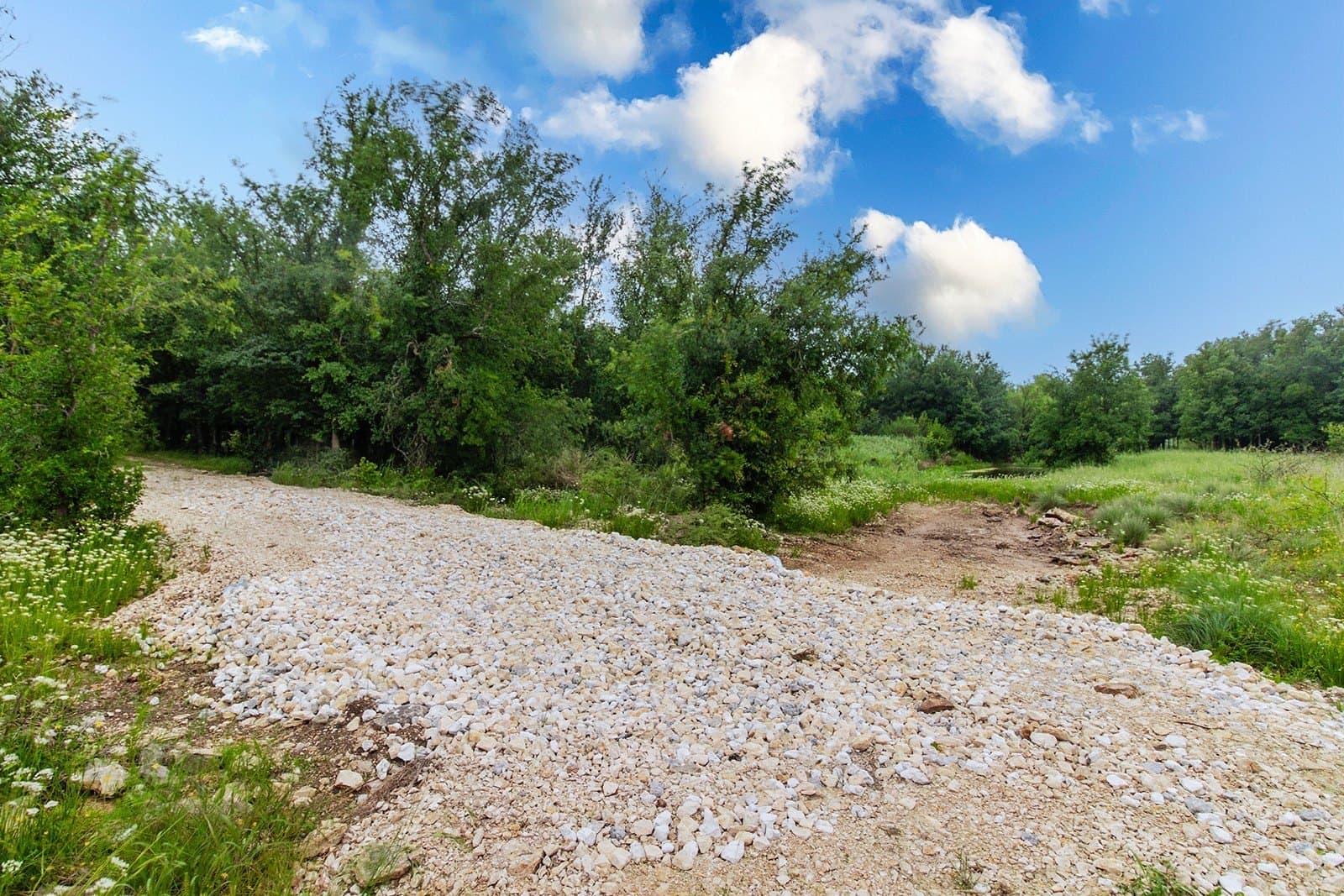 85 acres in Brown County - photo 38