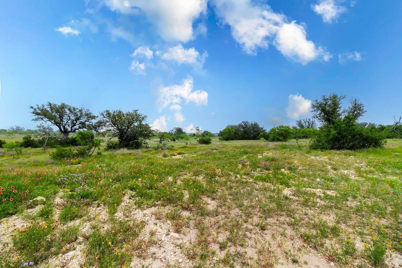 85 acres in Brown County - photo 9
