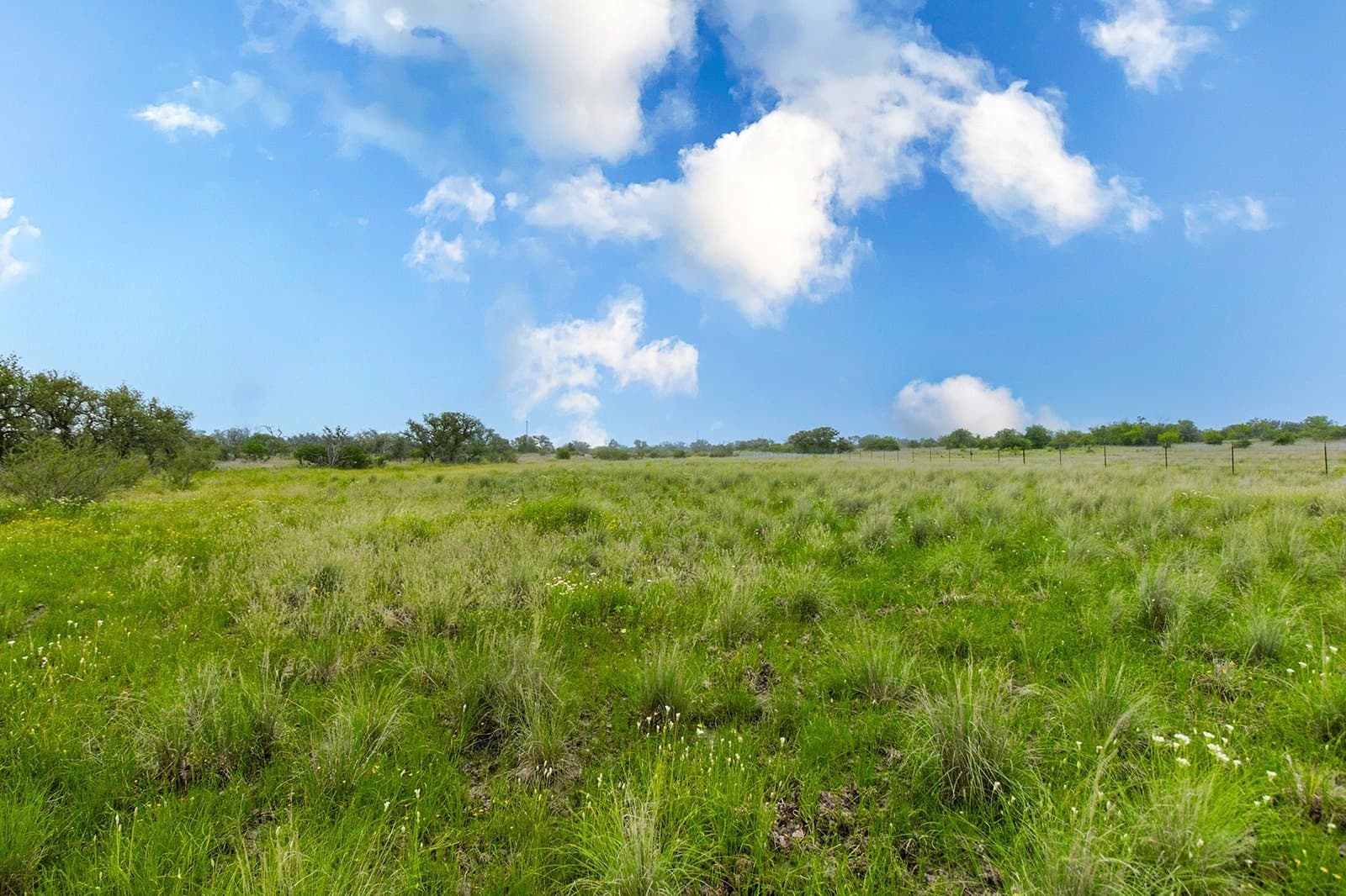 85 acres in Brown County - photo 33