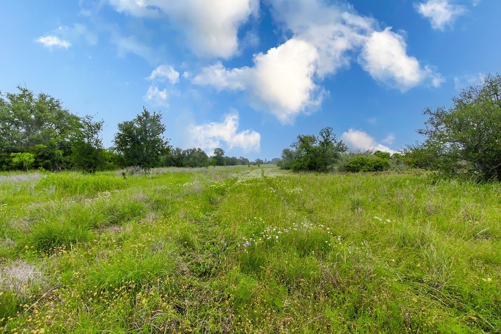85 acres in Brown County - photo 35