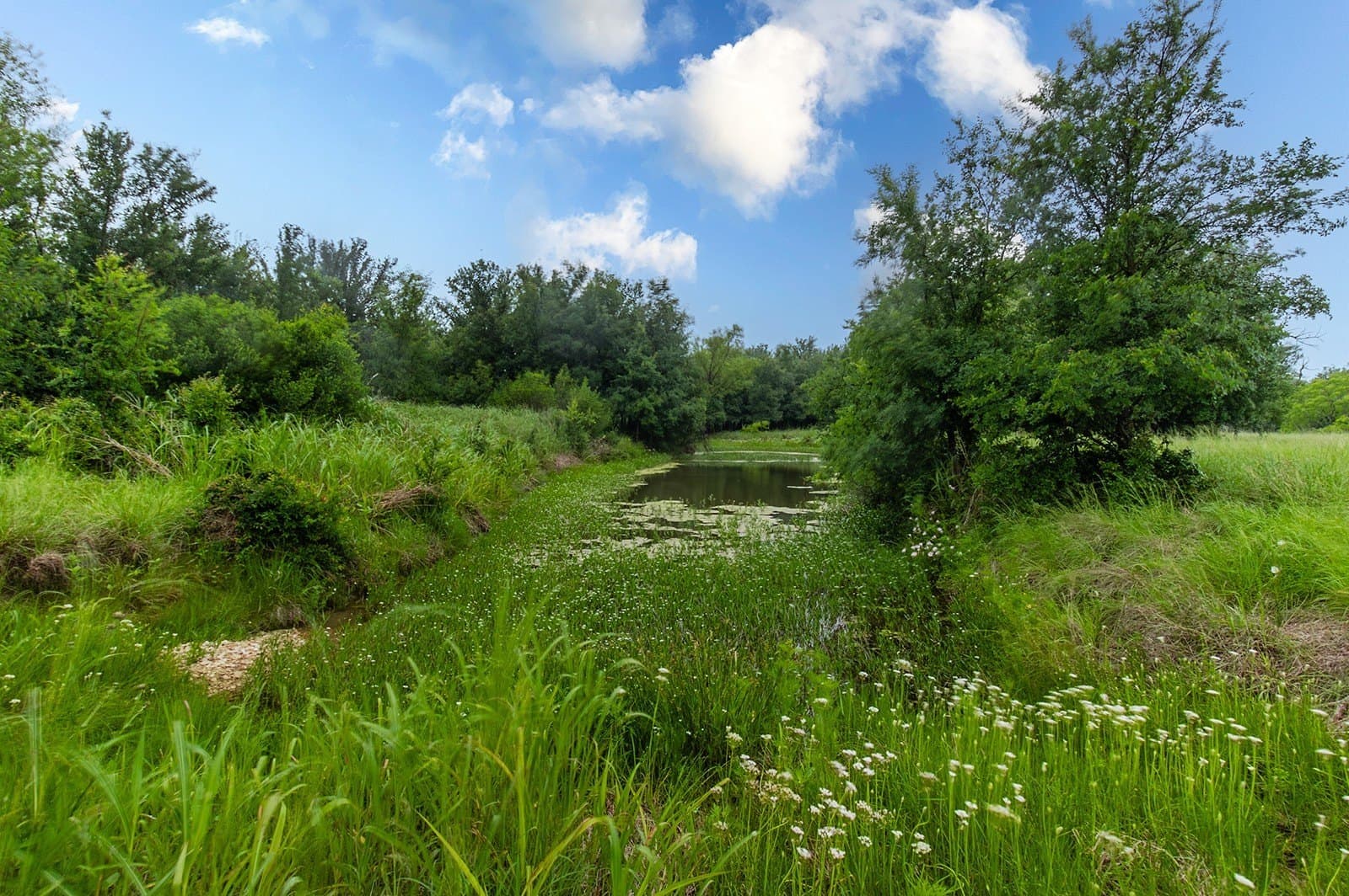 85 acres in Brown County - photo 40