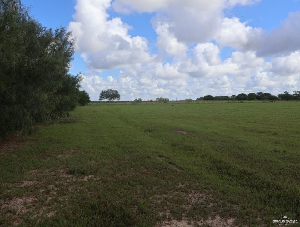 61.92 acres in Willacy County gallery image 2