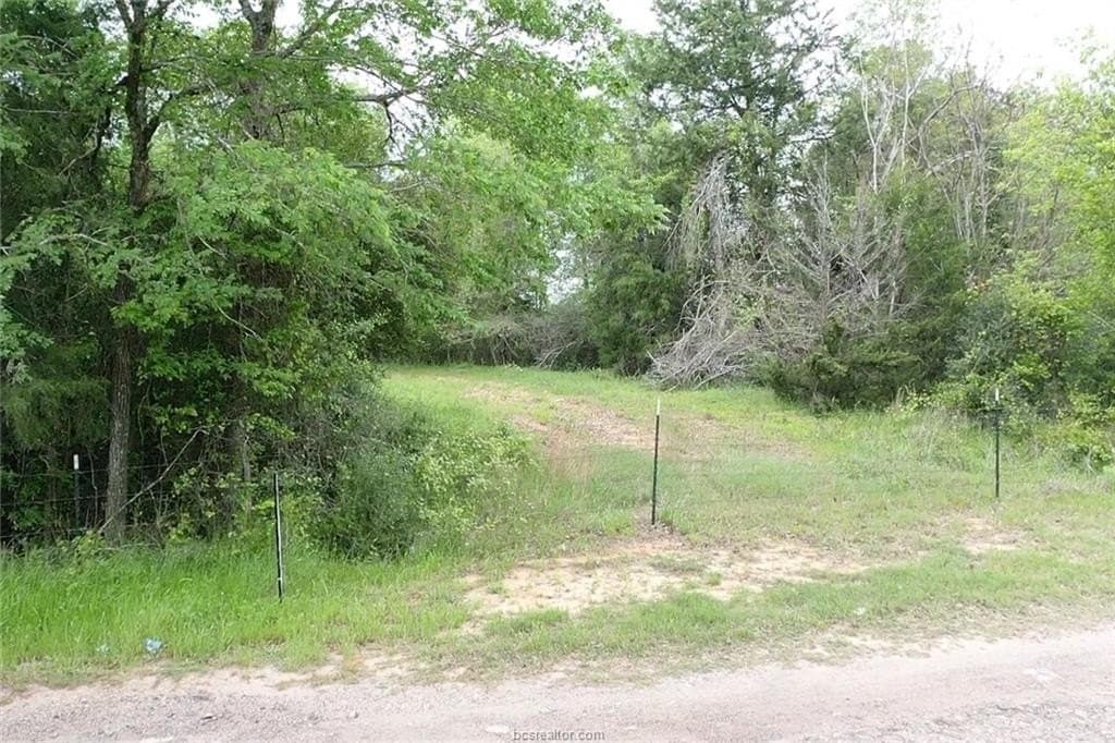 5 acres in Madison County - photo 7