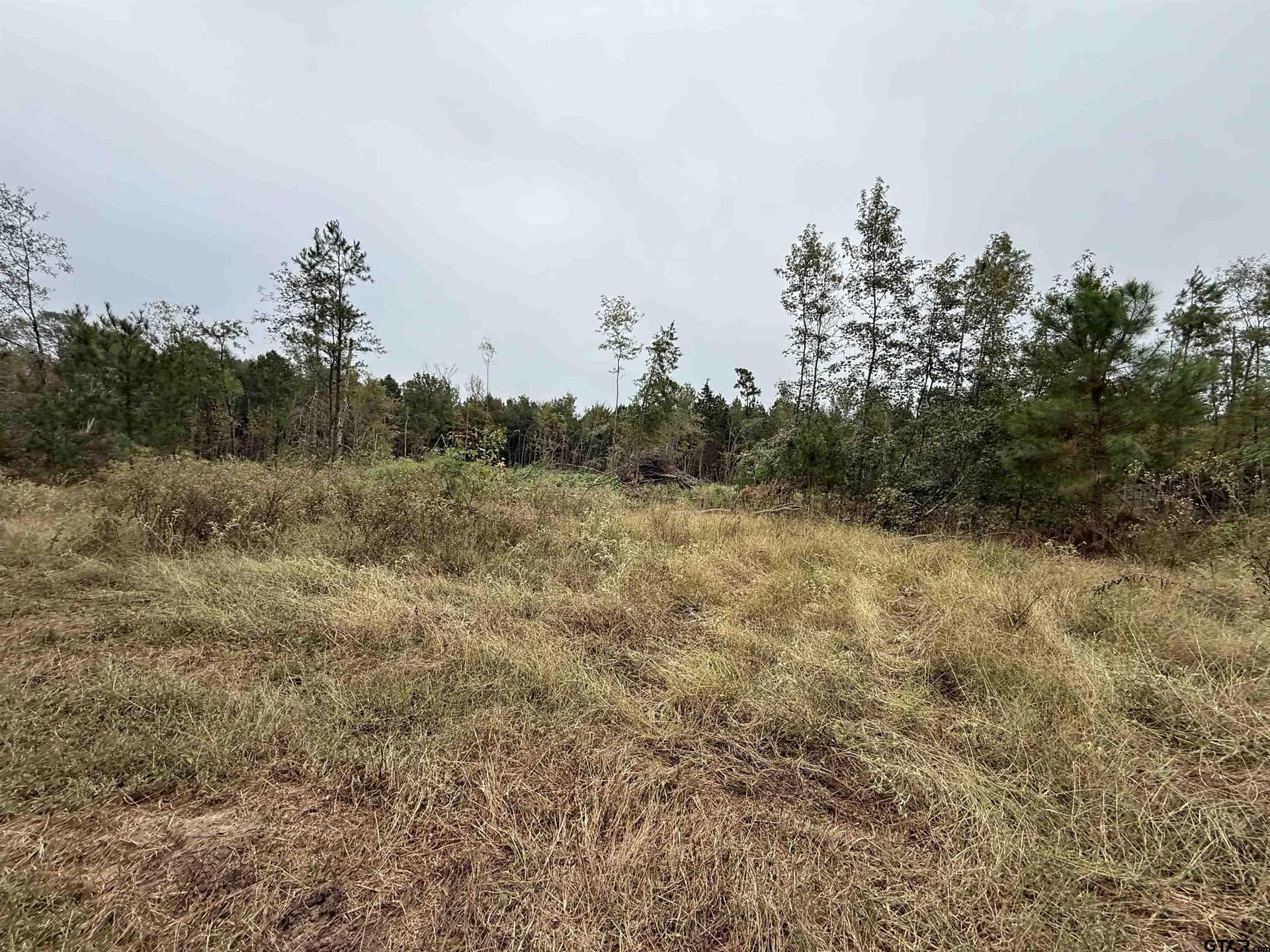 15.36 acres in Rusk County gallery image 3