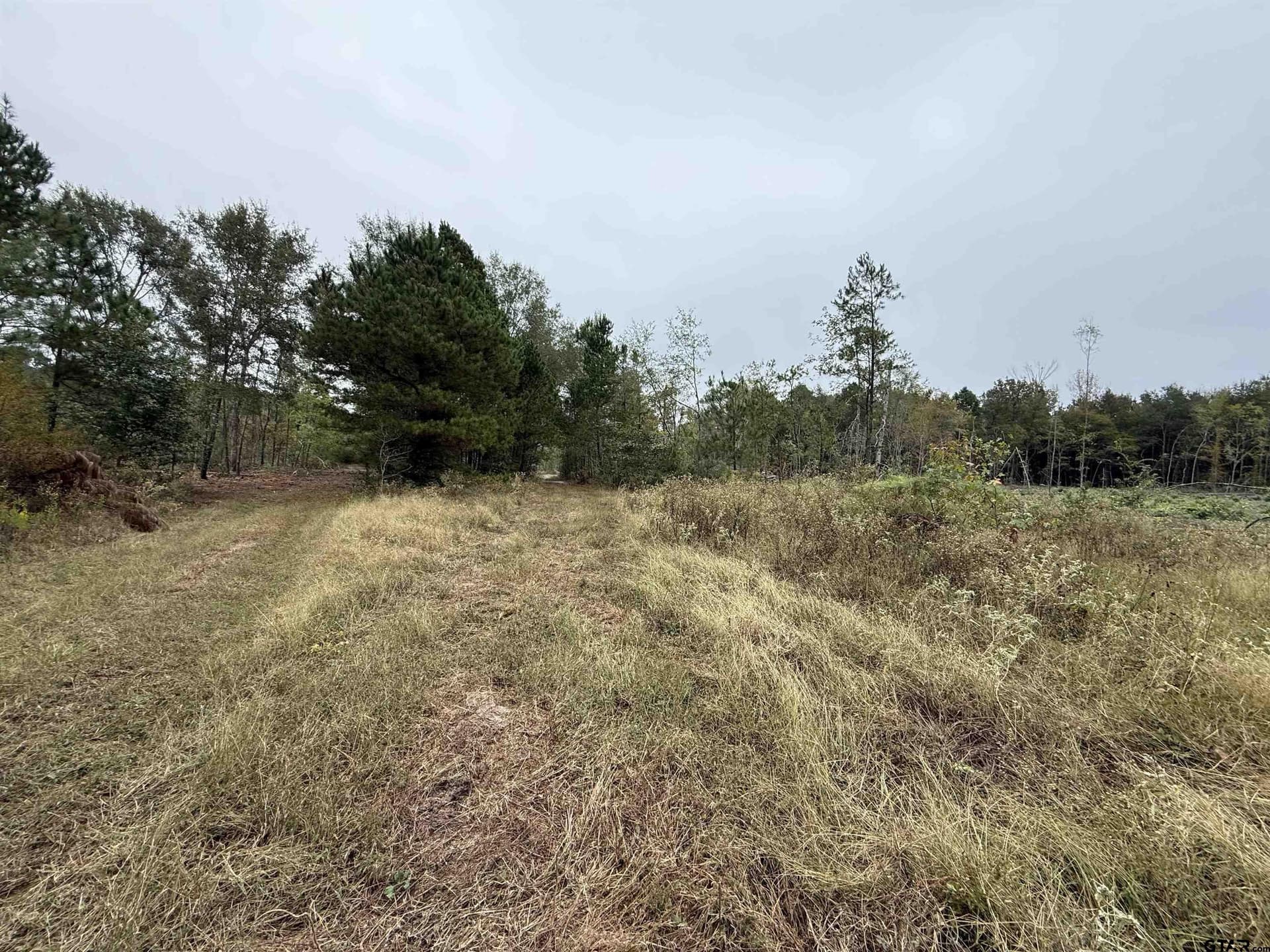 15.36 acres in Rusk County gallery image 2