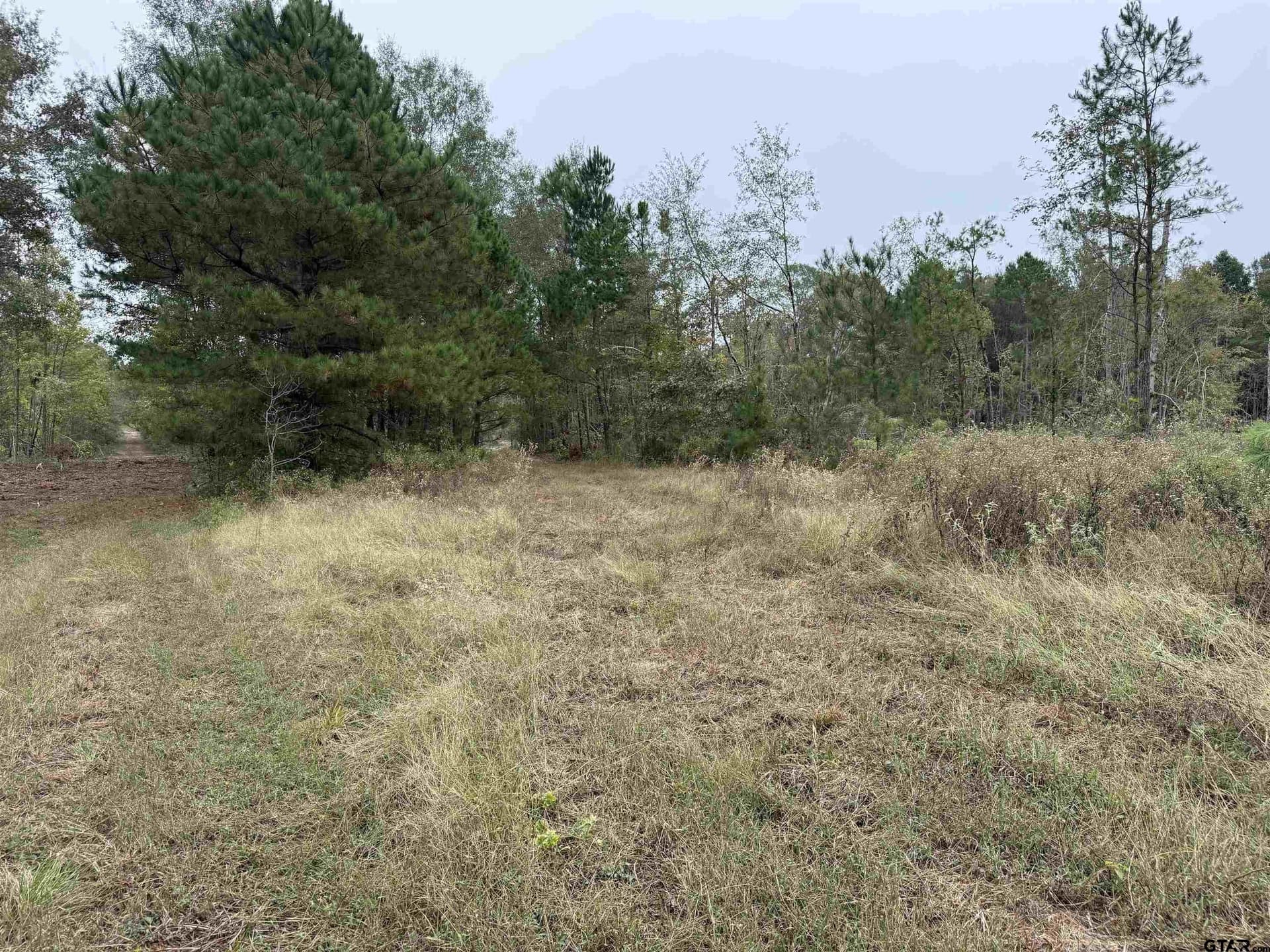 15.36 acres in Rusk County - photo 8