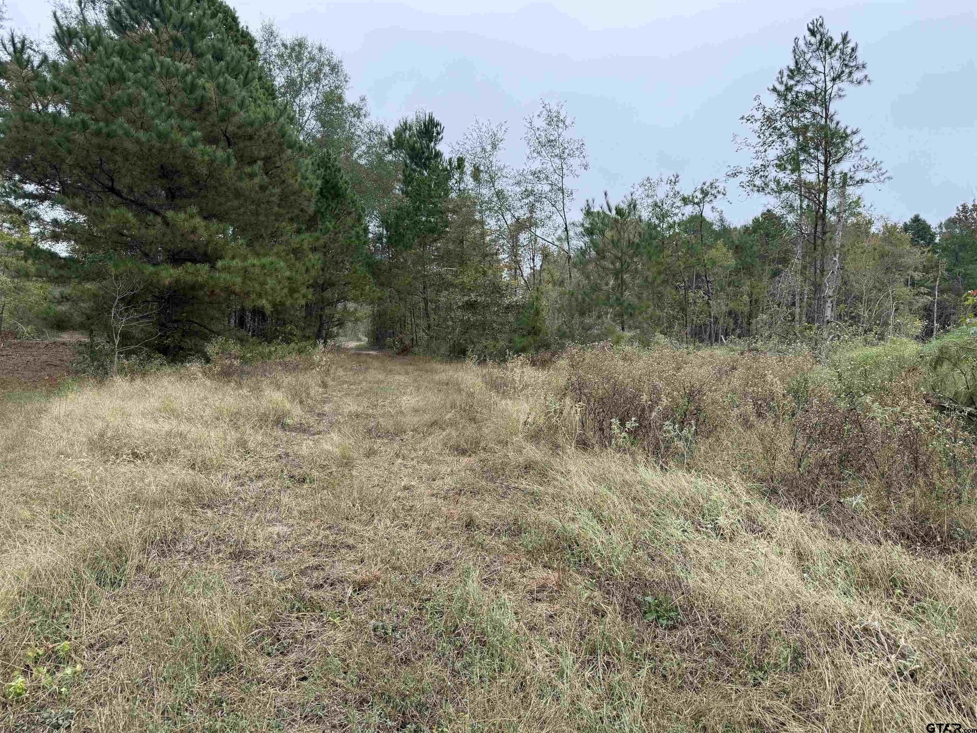 15.36 acres in Rusk County - photo 7