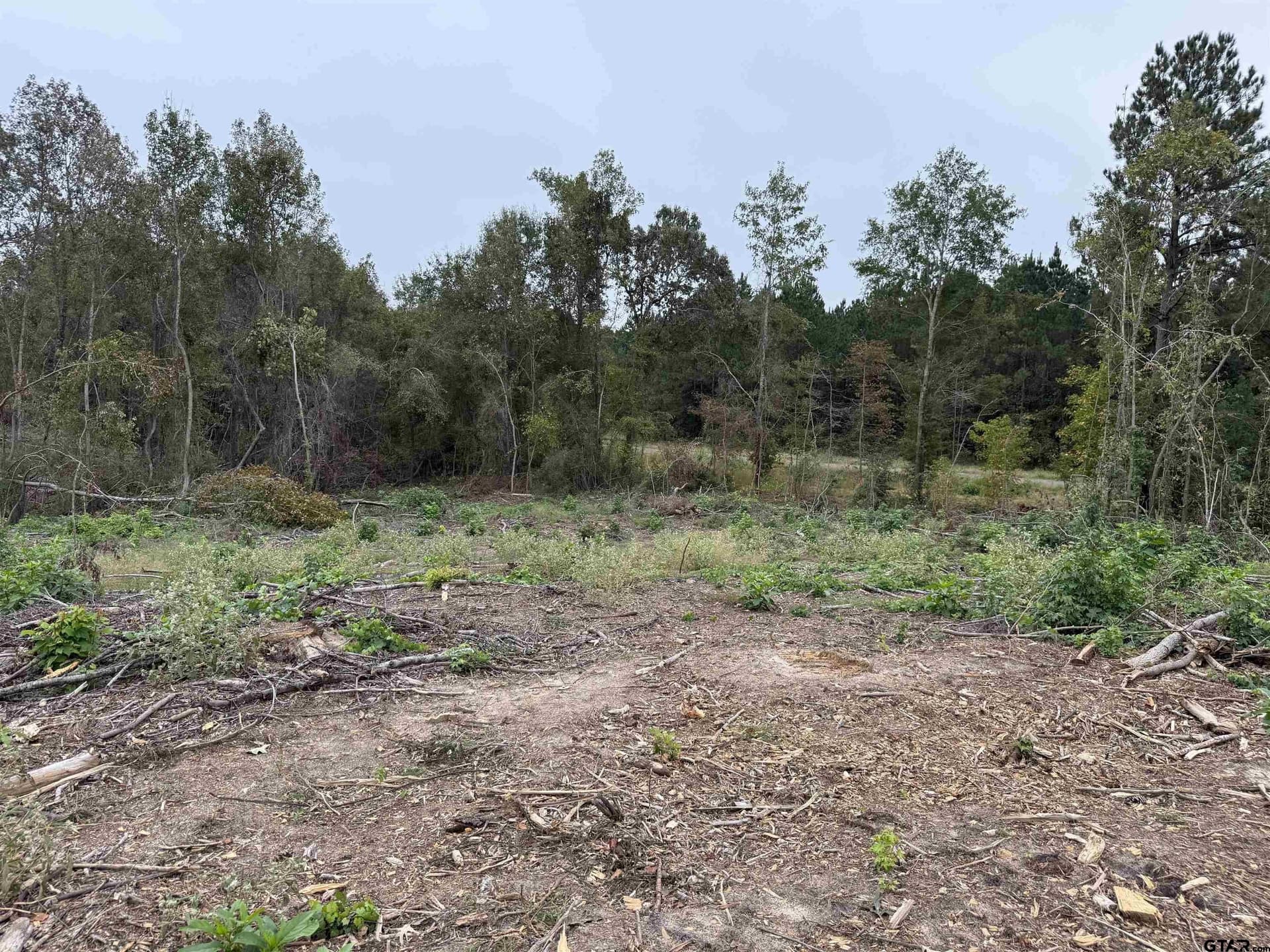 15.36 acres in Rusk County - photo 12