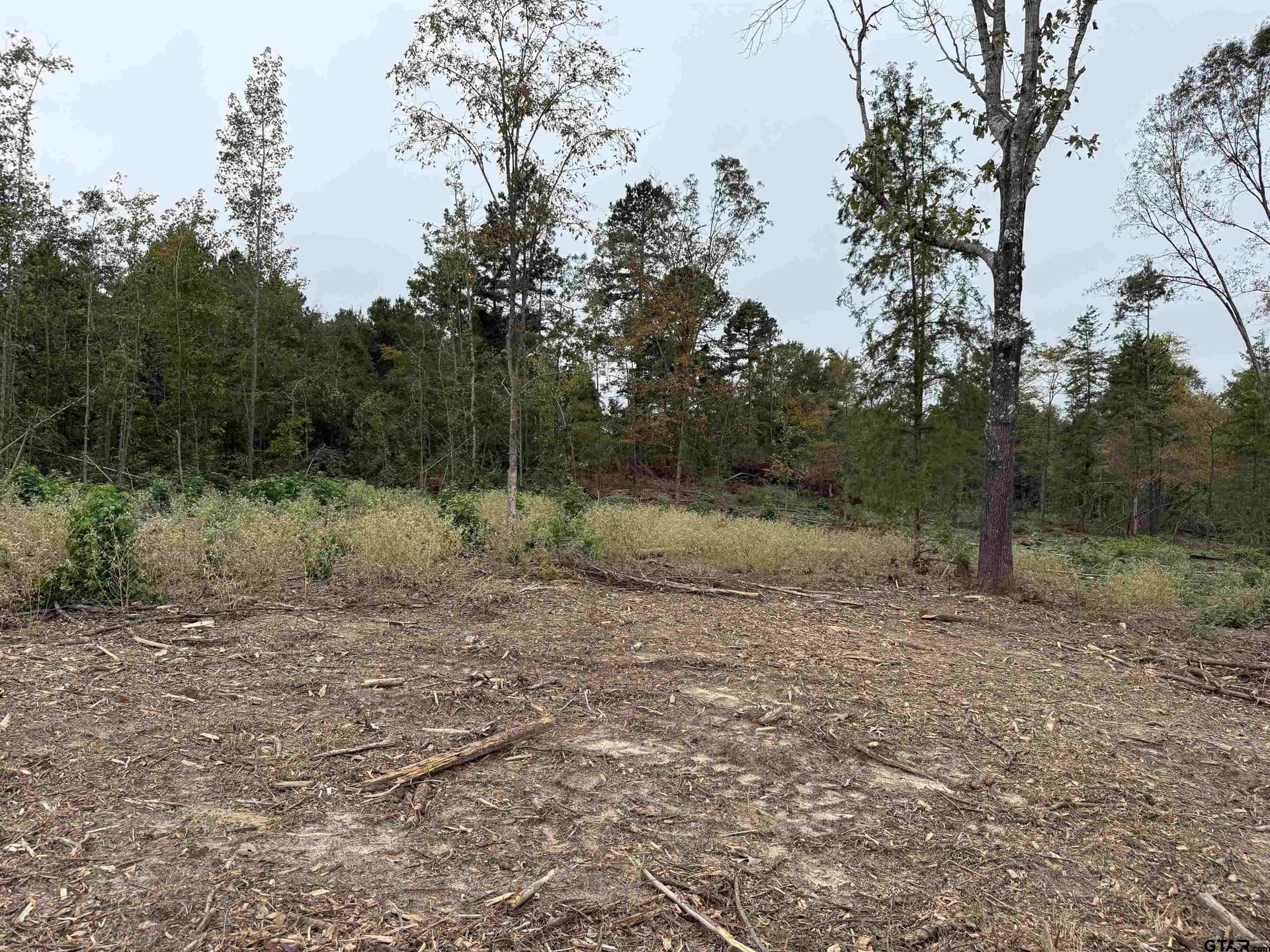15.36 acres in Rusk County - photo 11