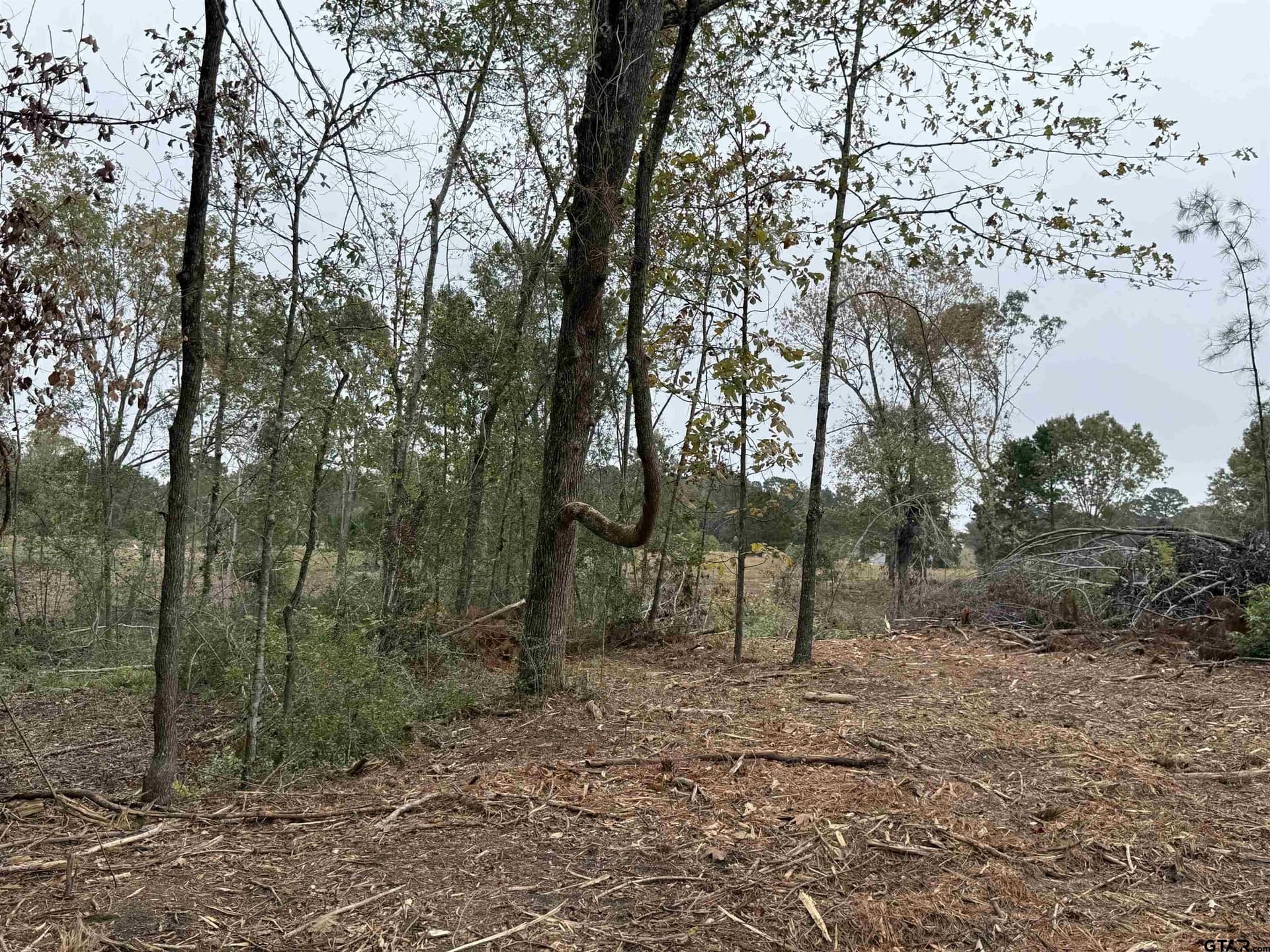 15.36 acres in Rusk County featured view