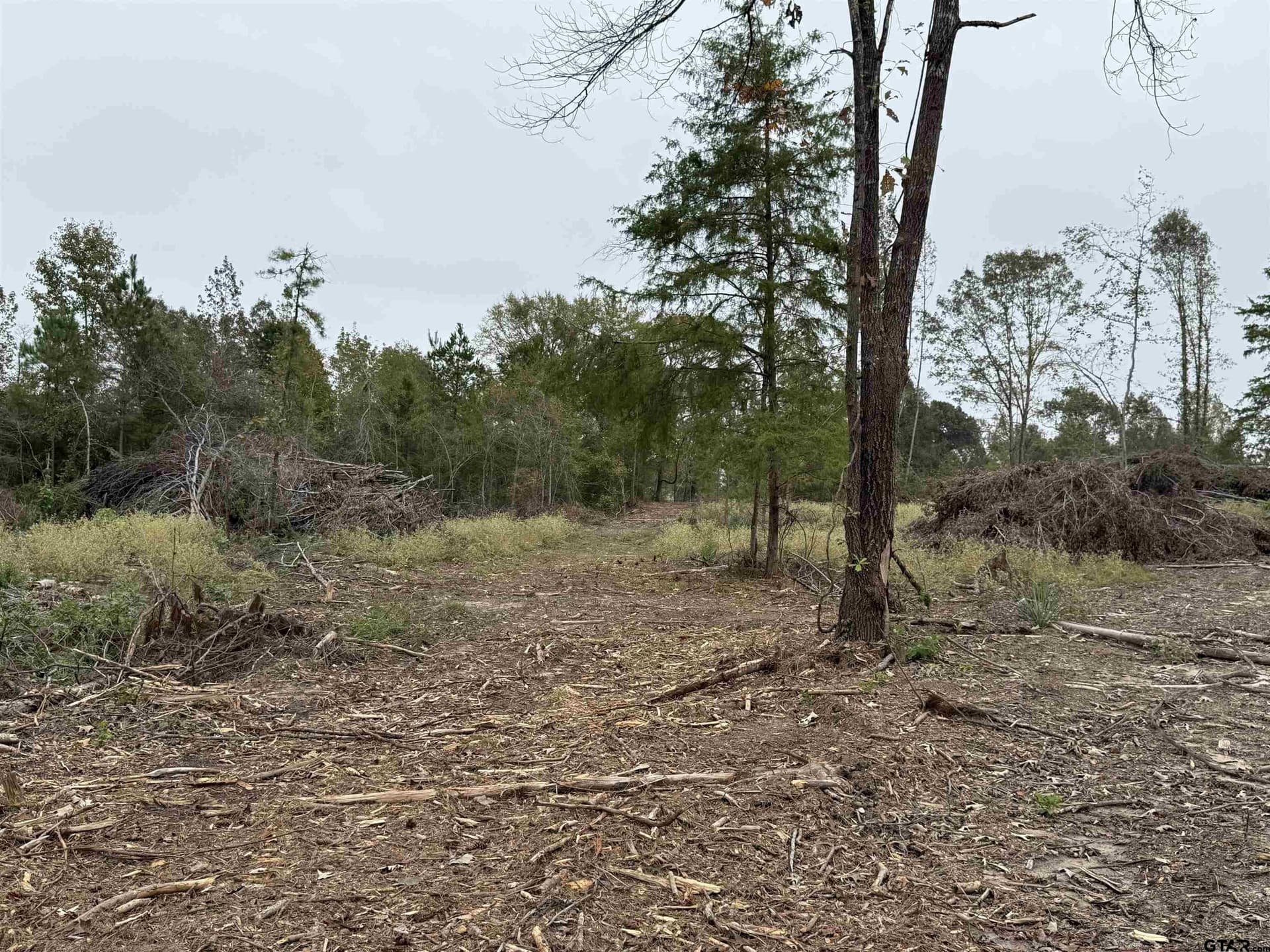 15.36 acres in Rusk County - photo 6